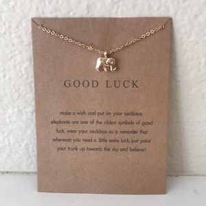 Good Luck Necklace